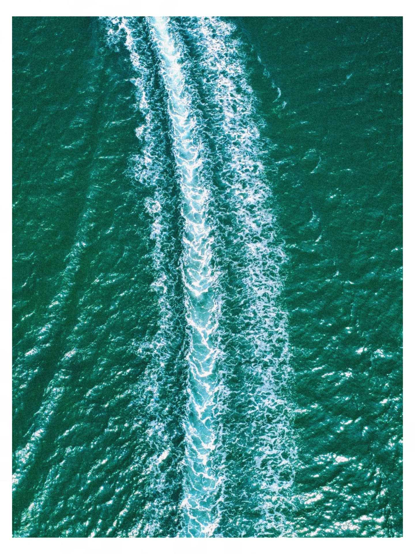 Open Water Wake