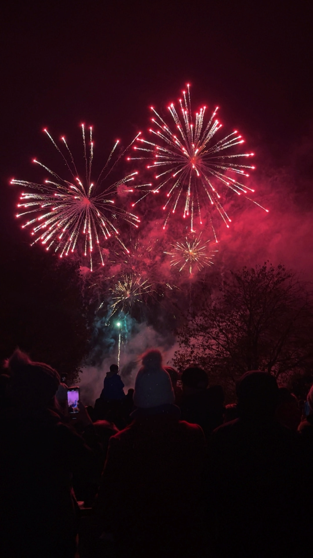Fireworks Night