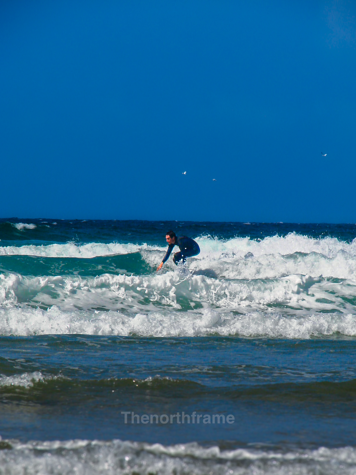 Surfer